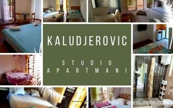Apartments Kaludjerovic - AVAILABLE UNTIL 28.08.2021, private accommodation in city Igalo, Montenegro